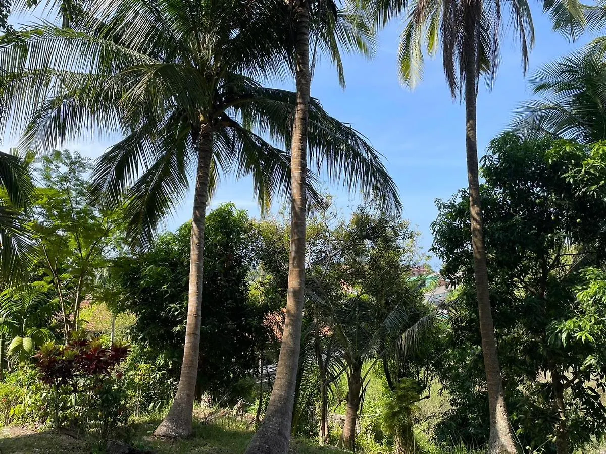 Chalisa Bukit House Lanta Hotel Koh Lanta Thailand