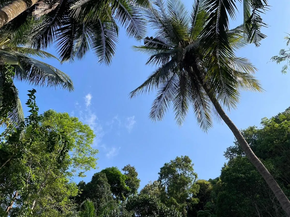 Chalisa Bukit House Lanta Hotel Koh Lanta 0*,