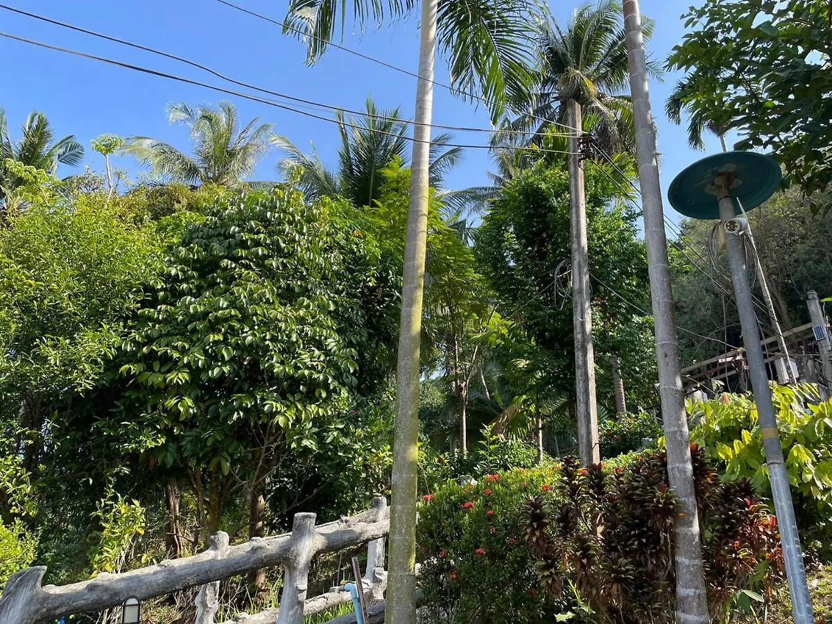 Chalisa Bukit House Lanta Hotel Koh Lanta Guest house